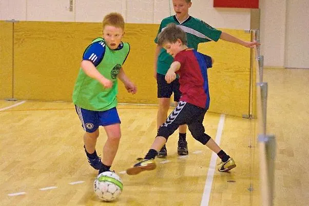 Vandrerhjem-hostel Hostel